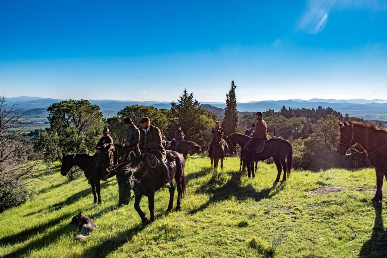 Bed and Breakfast Essenziale Castell'Anselmo Екстер'єр фото